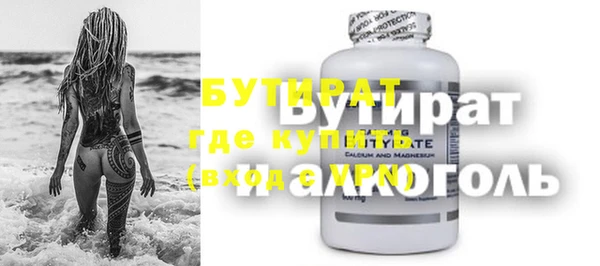 хмурый Белая Холуница